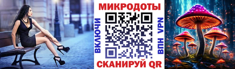 Галлюциногенные грибы Psilocybe  Купить  Верхнеуральск 